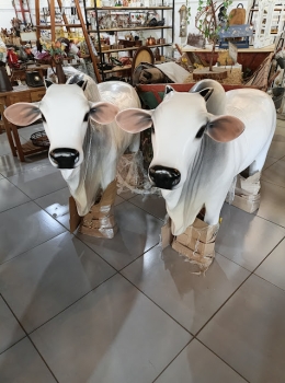 junta de boi pequeno
